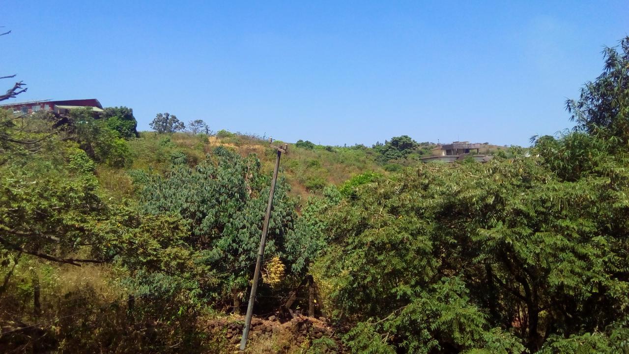 Hotel Tree Top Mahabaleshwar Exterior photo