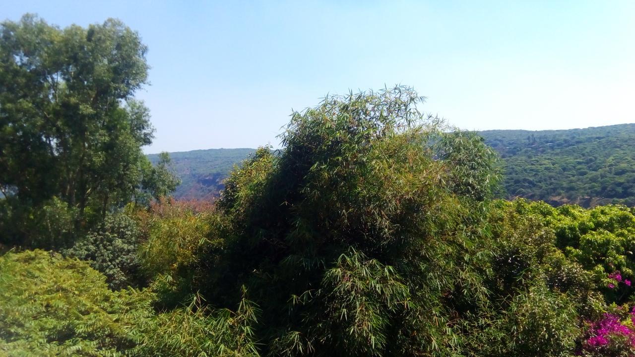 Hotel Tree Top Mahabaleshwar Exterior photo