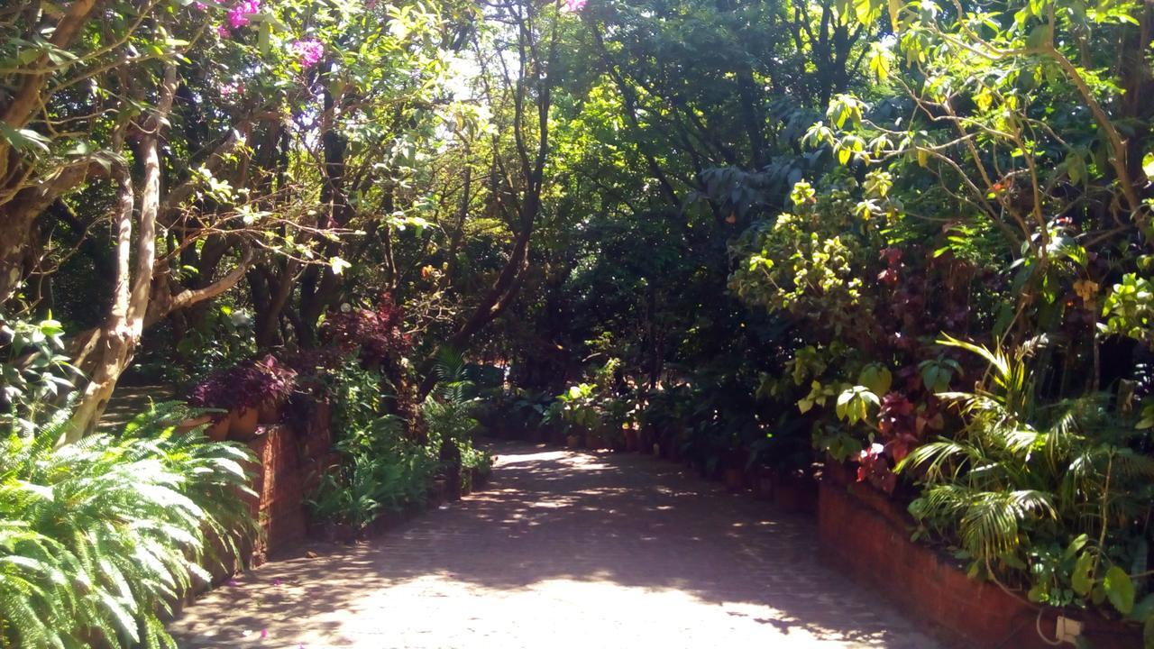 Hotel Tree Top Mahabaleshwar Exterior photo
